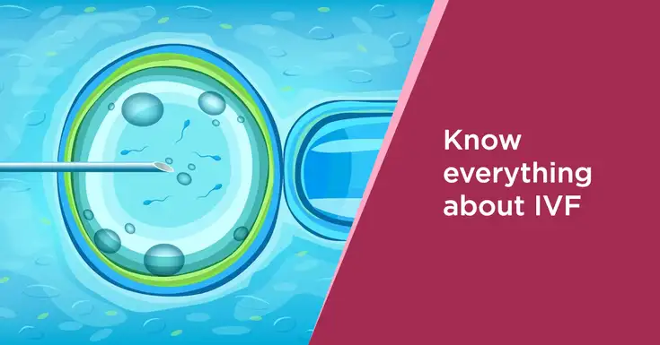  Complete IVF Guide: Key Info on In Vitro Fertilization