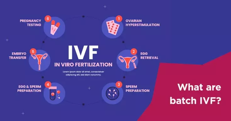  What Is Batch IVF? Understanding Group IVF Cycles