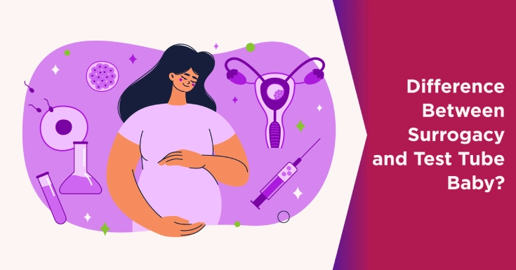 What Is The Difference Between IVF And Surrogacy Baby?