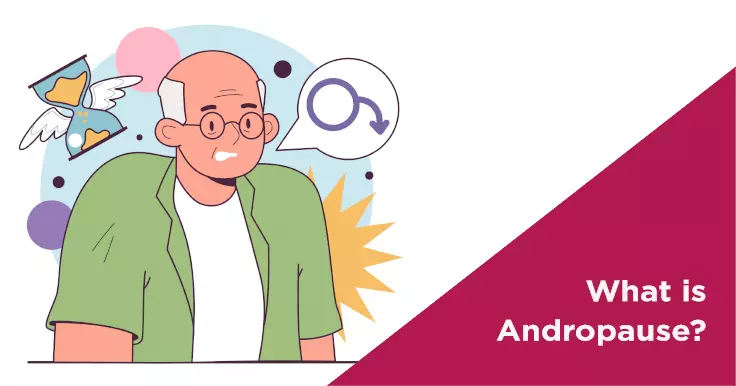 Andropause: The Male Counterpart to Menopause