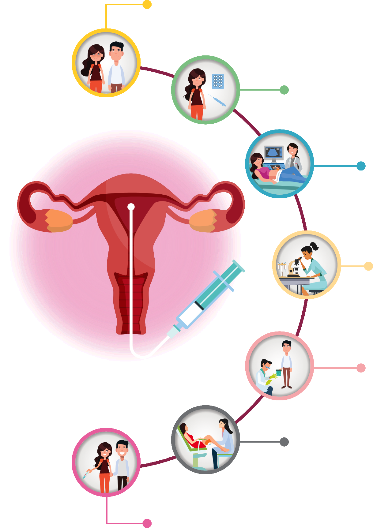 Uterus Illustration
