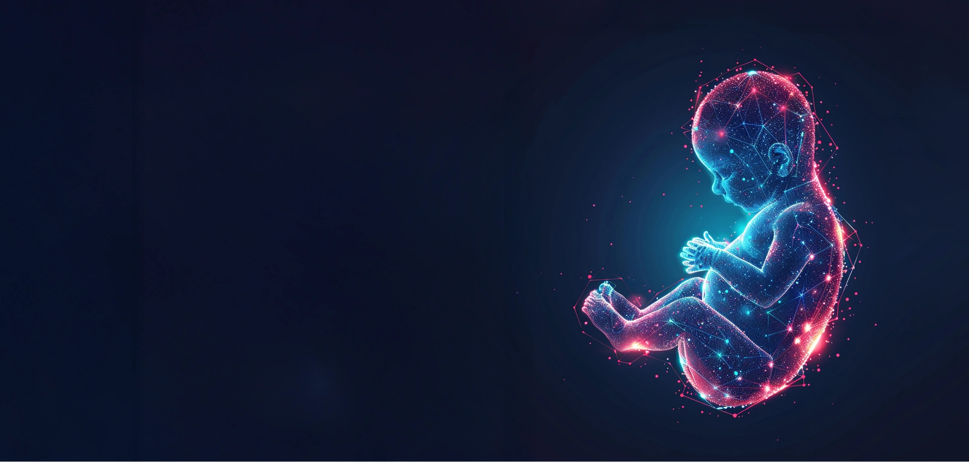 Nova AI