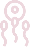 Vita Embryo
