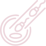 Eggs, Sperm or Embryo Donor Programs