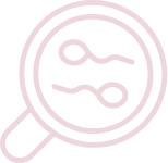 IVF-ICSI Treatment