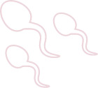 Fertility Surgeries for Both Males and Females