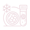Embryo Freezing