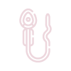 Percutaneous Epididymal Sperm Aspiration (PESA) 