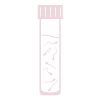Semen Analysis