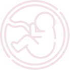 Vita Embryo