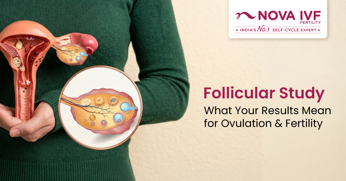 Follicular Study: What It Is, When It Is Done and What Your Results Mean for Fertility