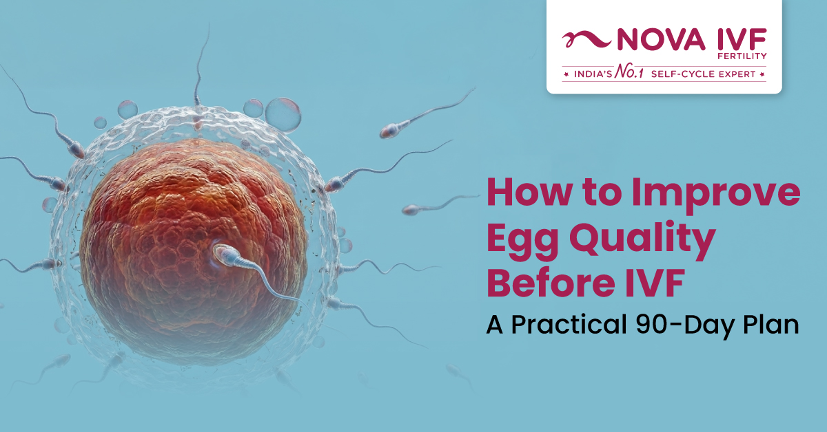 How to Improve Egg Quality Before IVF 