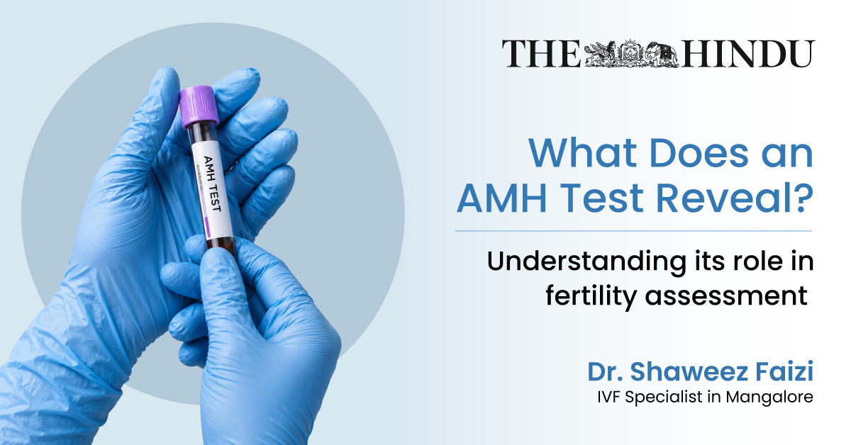 What Does an AMH Test Reveal? 