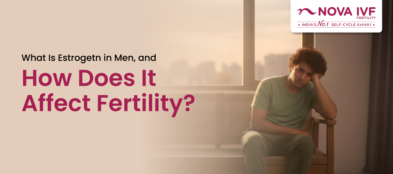 What Is Estrogen in Men, and How Does It Affect Fertility?
