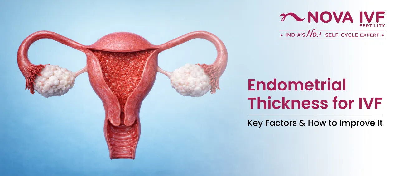 Endometrial Thickness for IVF: Key Factors & How to Improve It