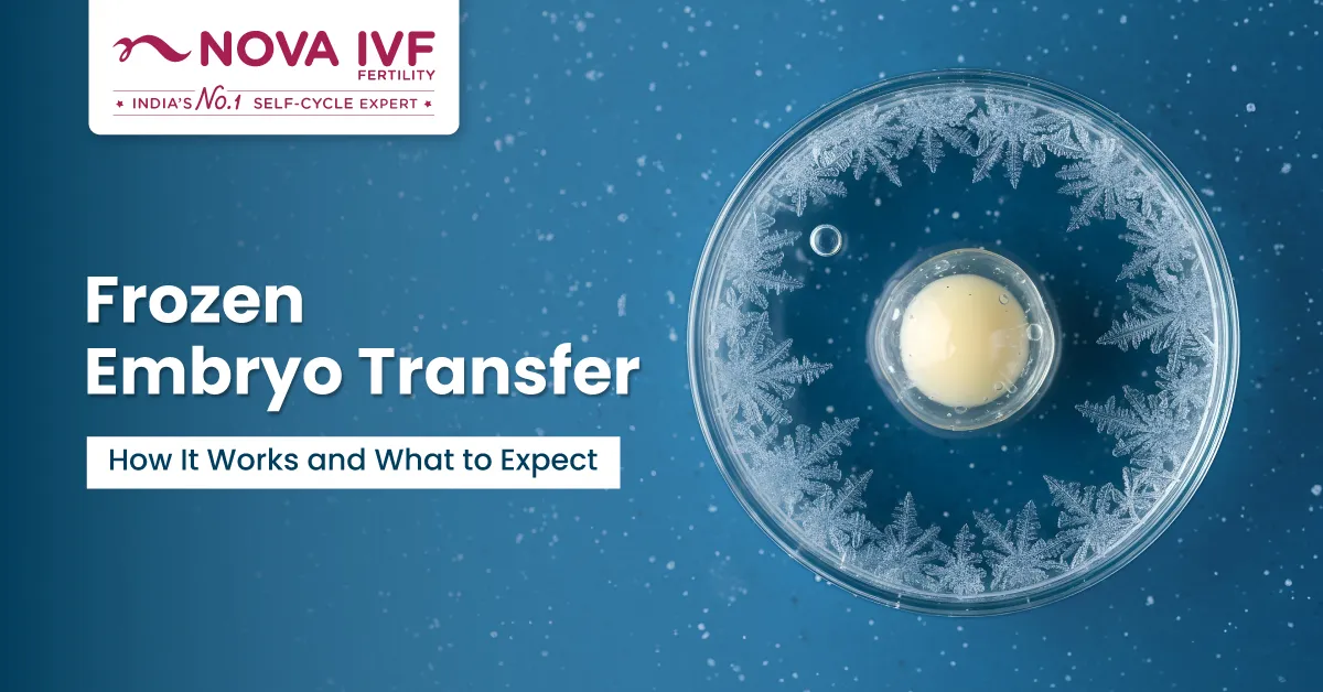 Frozen Embryo Transfer: How the Process Works, When It Happens and What to Expect