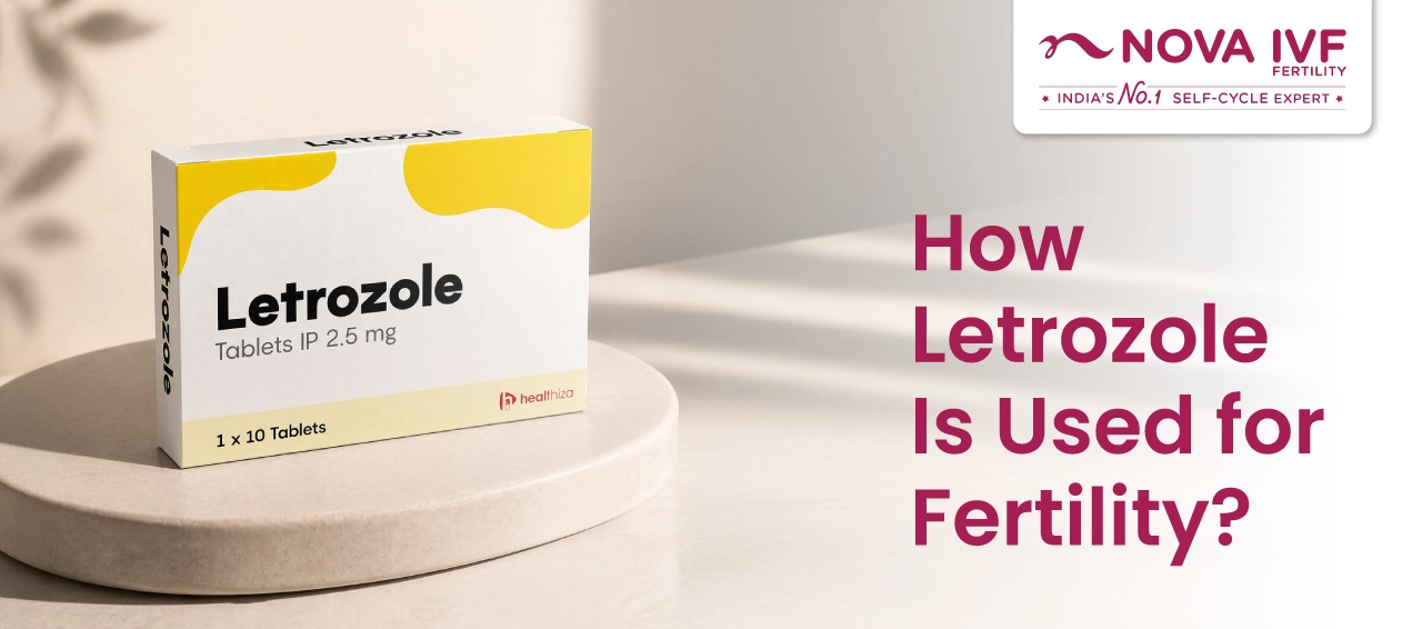 How Letrozole Is Used for Fertility
