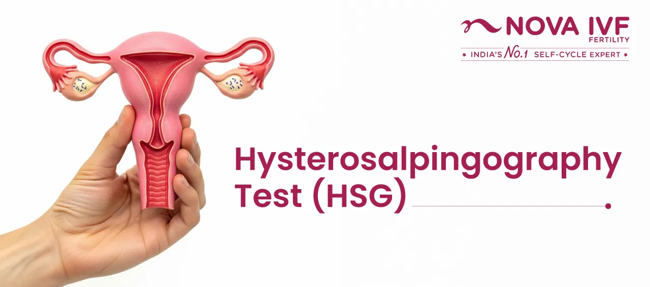 Hysterosalpingography Test