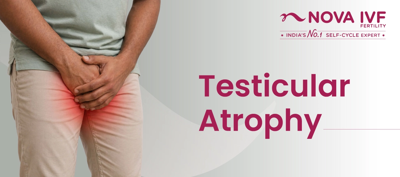 Testicular Atrophy