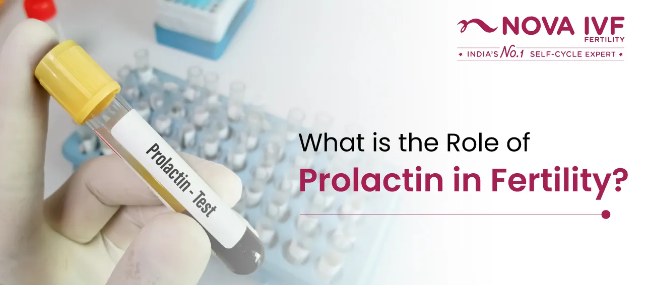 What is the Role of Prolactin in Fertility?