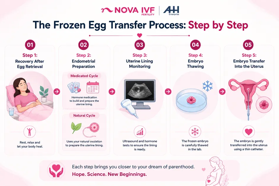 The Frozen Egg Transfer Process Step by Step