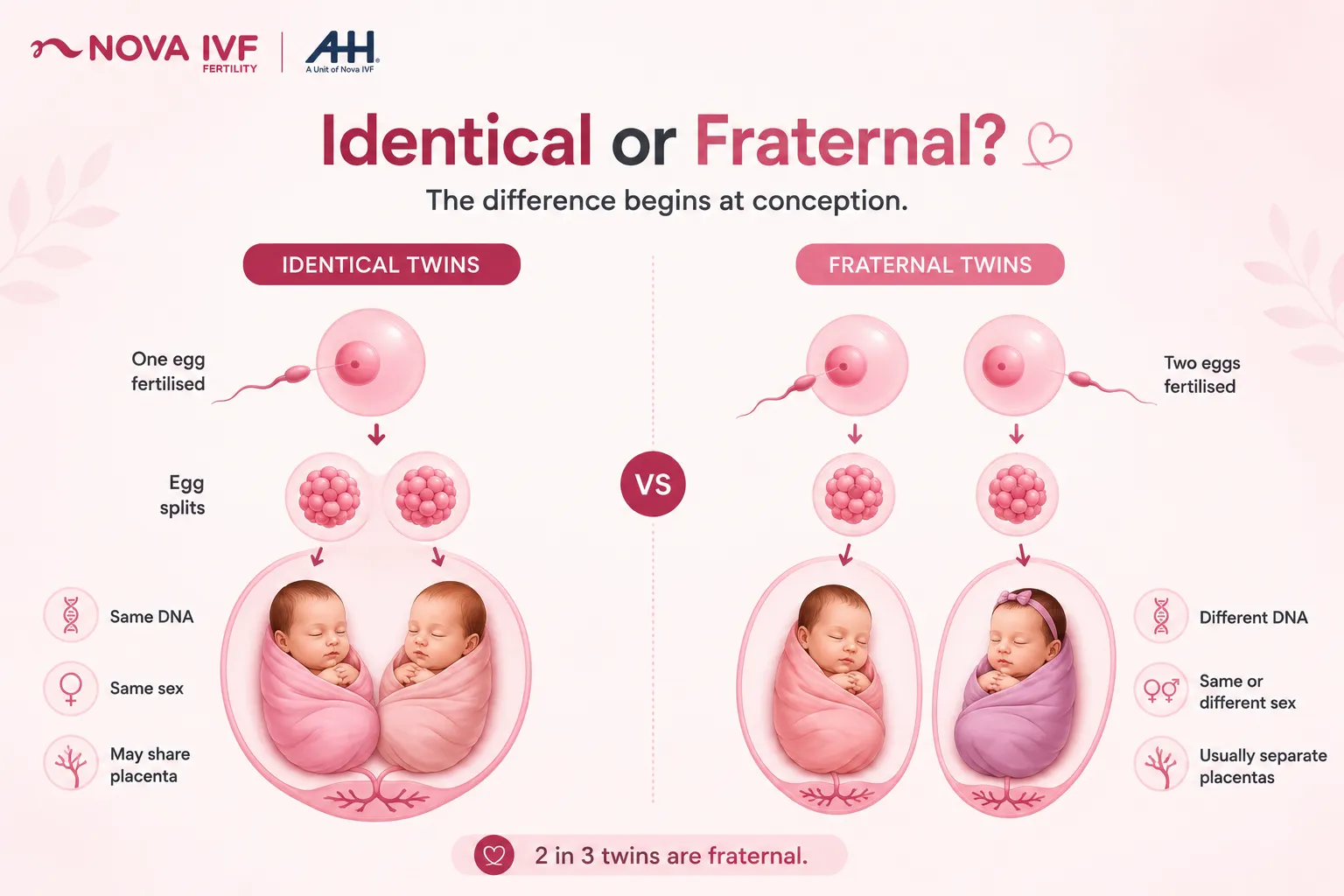 Multiple Pregnancy: Types, Causes, and What Expecting Mothers Must Know