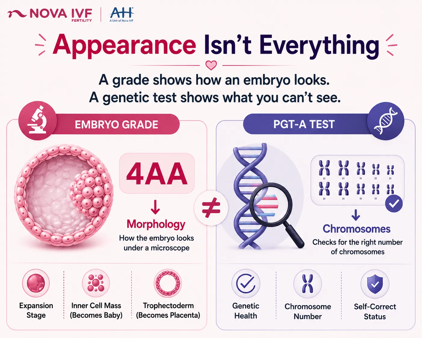  Embryo Grading in IVF: What the Grades Mean and Why They Matter