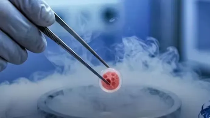 What happens to embryos during IVF? Here's how clinics keep them safe