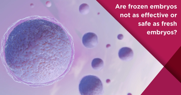  Frozen vs. Fresh Embryo Transfer: Which Is Better?