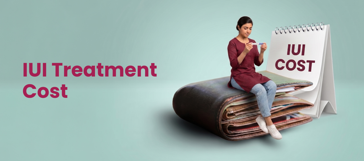 How Much Does Intrauterine Insemination (IUI) Treatment Cost?