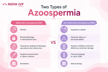 How Is the AFC Test Done in India infographic